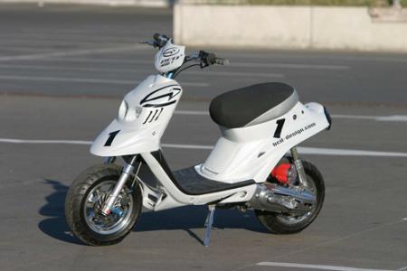 spirite 2004